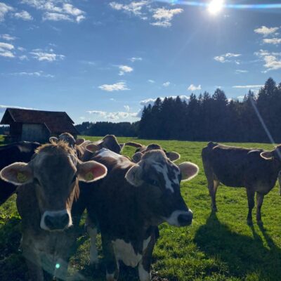 Wenn die Sonne scheint...