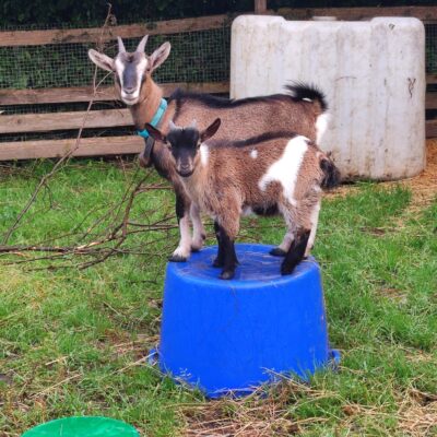 Oben ist´s einfach besser